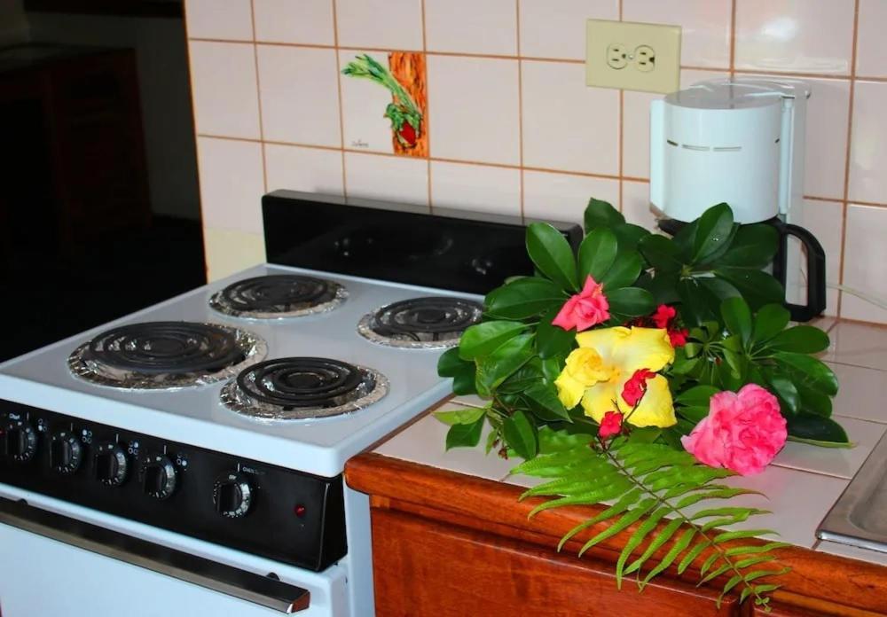 Hotel Ecological Inn San José Kültér fotó
