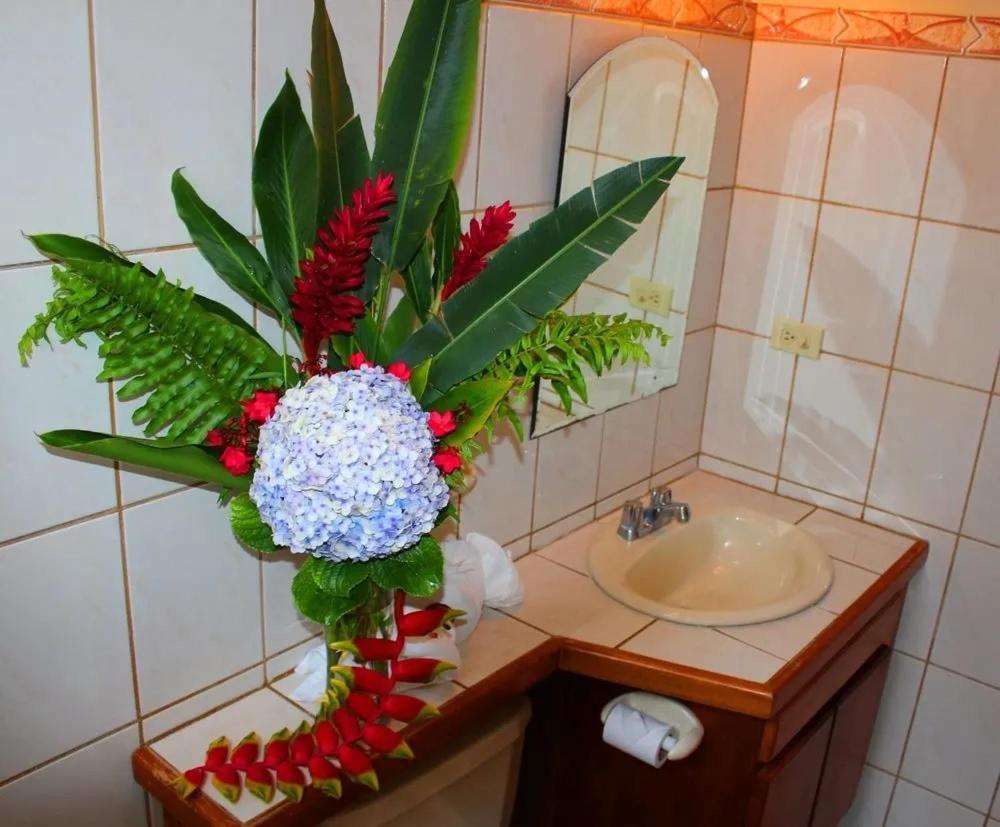 Hotel Ecological Inn San José Kültér fotó