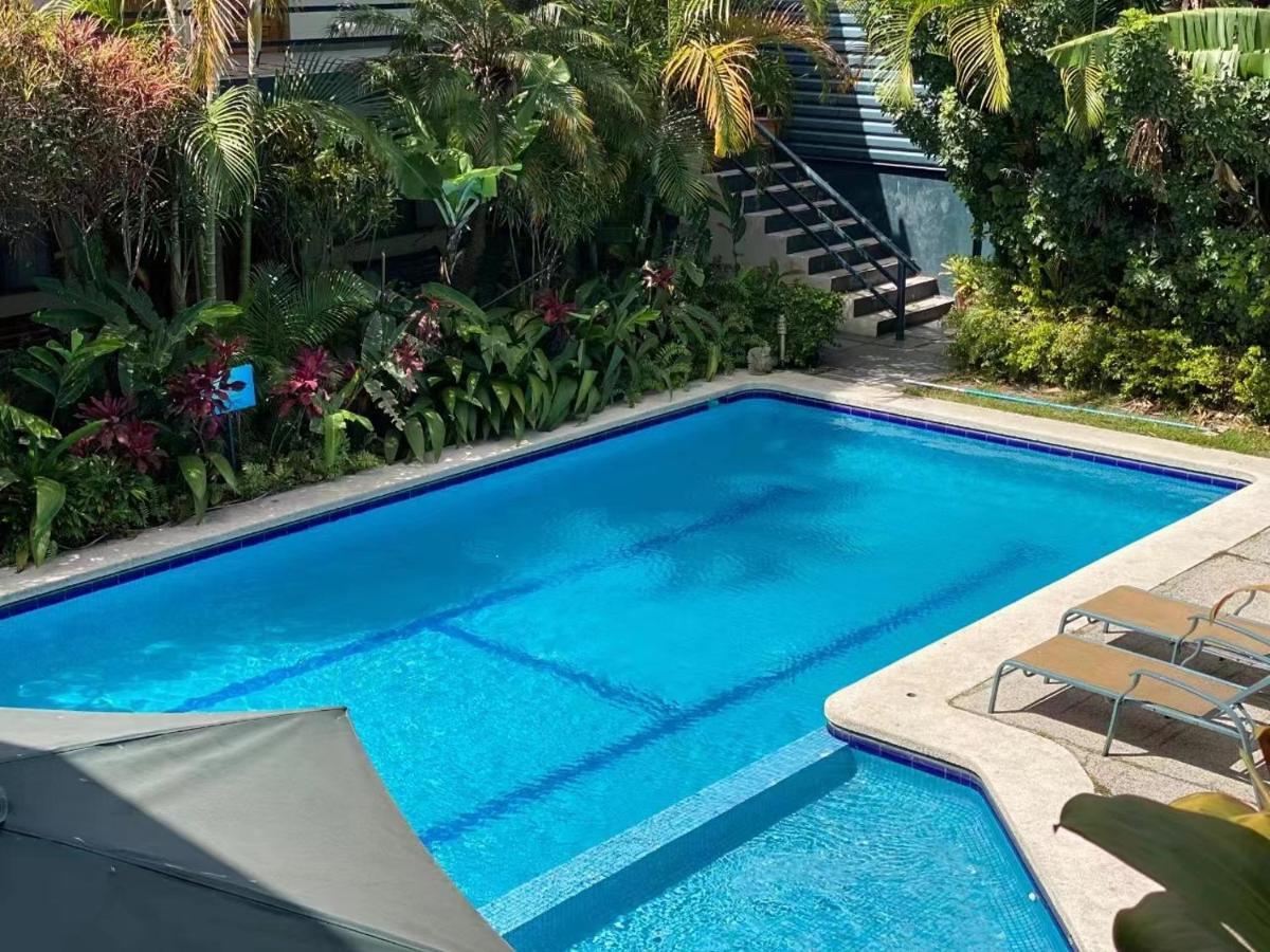Hotel Ecological Inn San José Kültér fotó